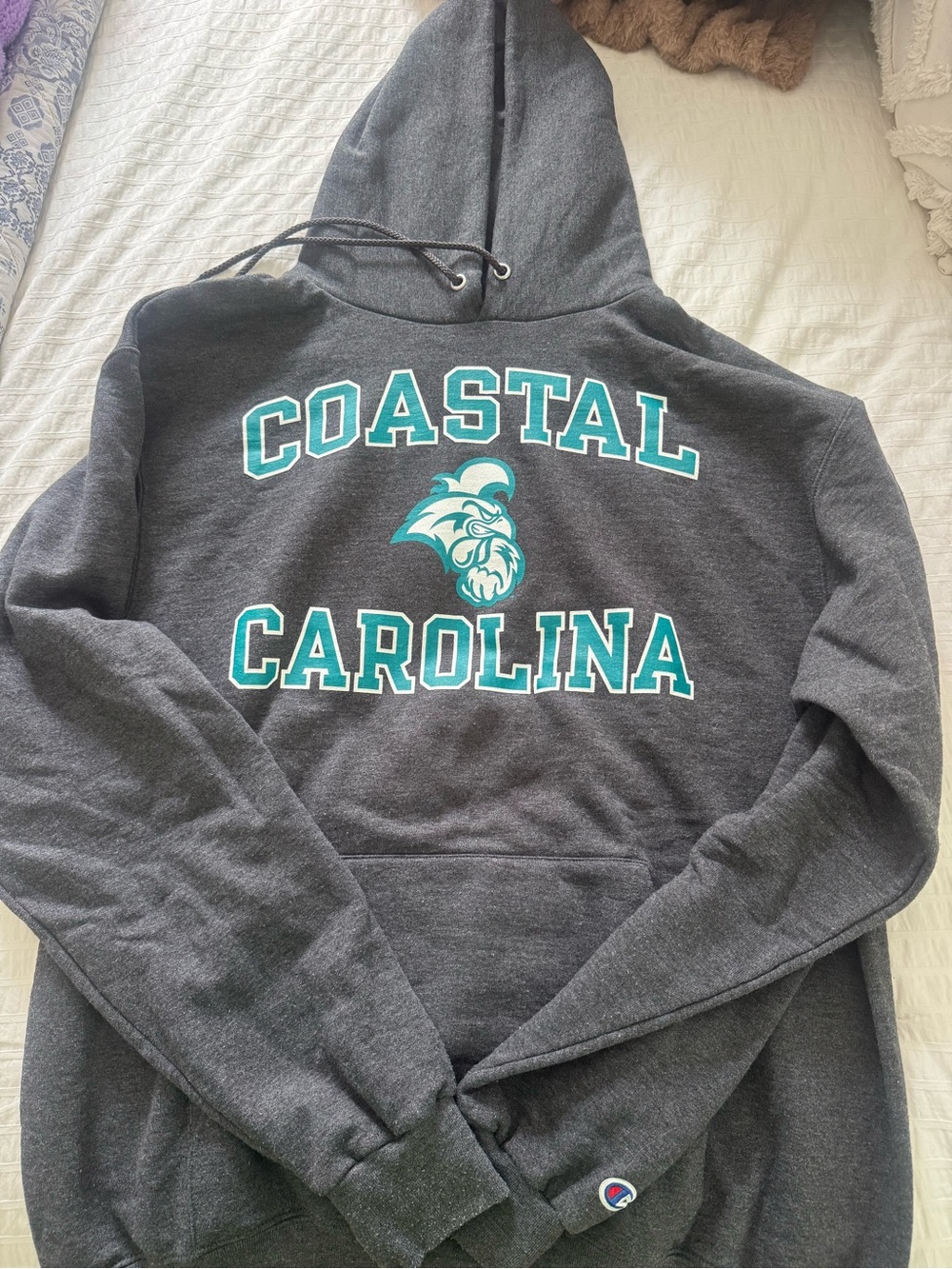 Champion Charcoal Hooded Sweatshirt with Teal Coastal Carolina Logo